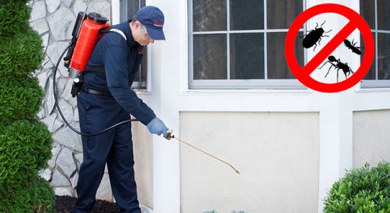 Şişli Akrep İlaçlama böcek ilaçlama ve haşere kontrolü — ilaclama-tr.com